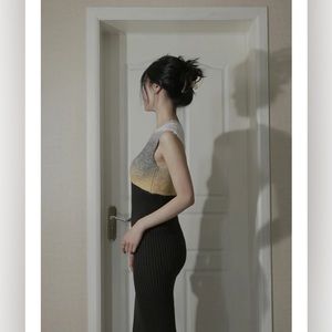Zara ombré knit dress